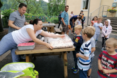 IMG_20210705_093529