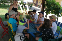 IMG_20210708_095340