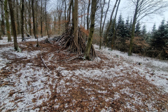 IMG-20230127-WA0007