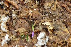 IMG-20230127-WA0008