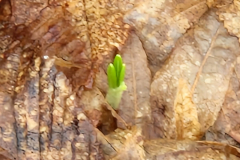 IMG-20230127-WA0009