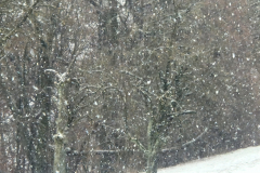 IMG-20230127-WA0016